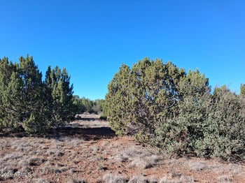 1298 Geronimo Dr #-, Show Low, AZ 85901