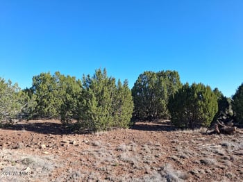 1298 Geronimo Dr #-, Show Low, AZ 85901