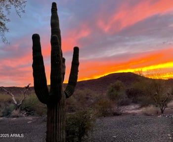 13045 Fetlock Trl, Peoria, AZ 85383