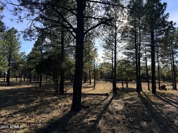 1306 Green Top Dr #40, Happy Jack, AZ 86024