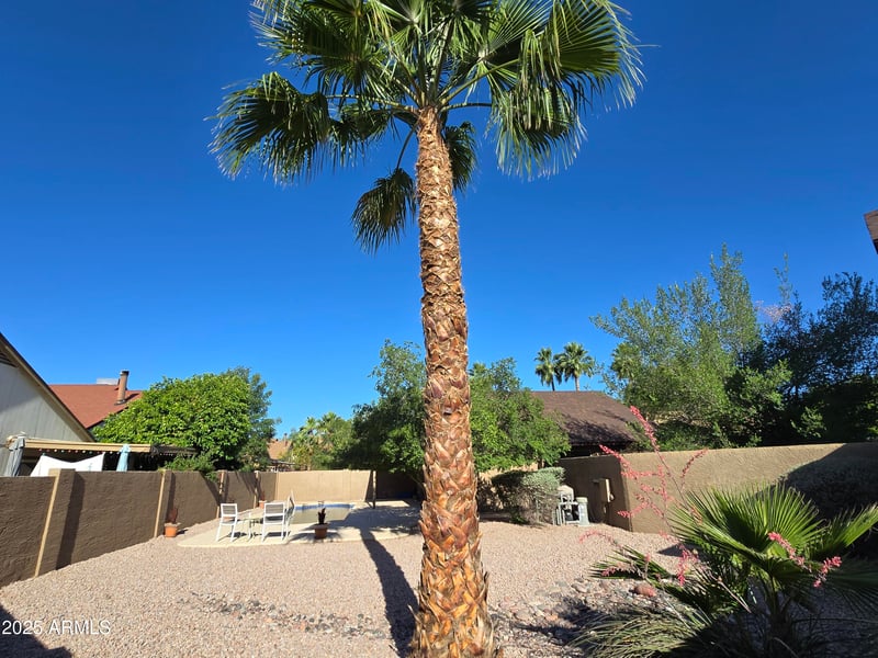 1309 Calle Del Norte --, Chandler, AZ 85224