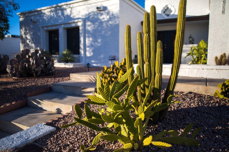 1310 E Rowlands Ln, Phoenix, AZ 85022
