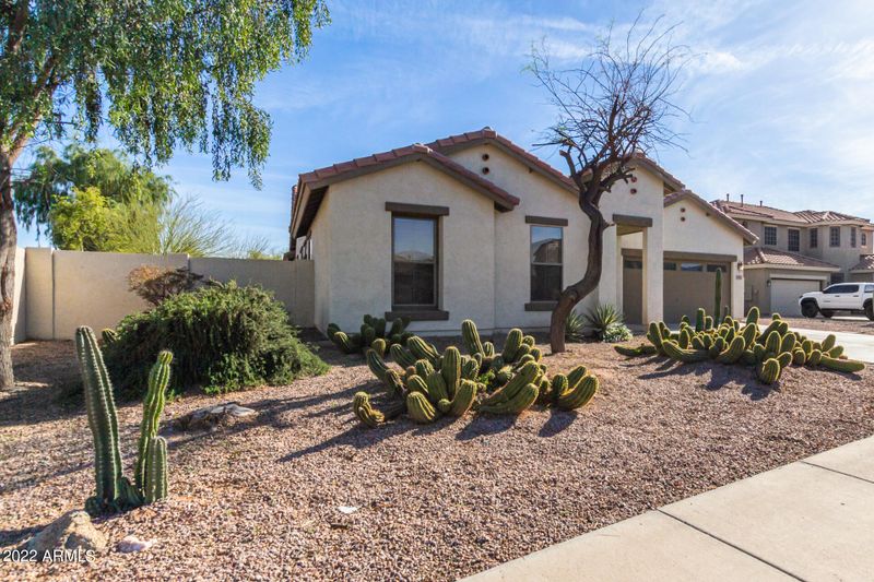 1311 E Azalea Dr, Gilbert, AZ 85298