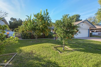 1317 Hale St, Mesa, AZ 85203