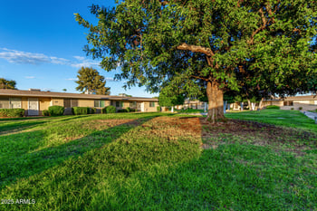 13227 110th Ave, Sun City, AZ 85351