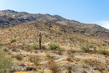 1333 E Pedro Rd, Phoenix, AZ 85042