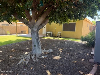 13372 Ocotillo Ln, Surprise, AZ 85374
