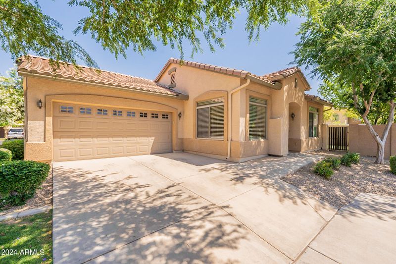 1342 E Thompson Way, Chandler, AZ 85286