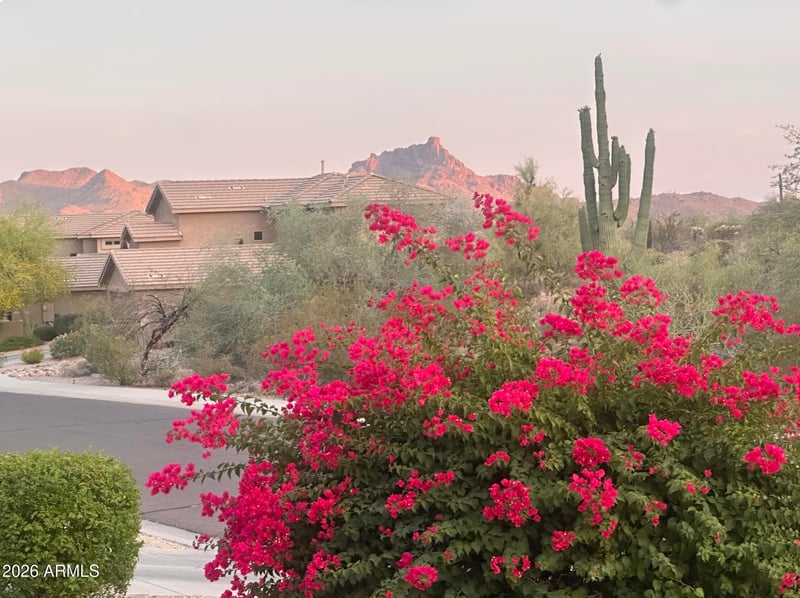 13423 Vista Del Lago --, Fountain Hills, AZ 85268