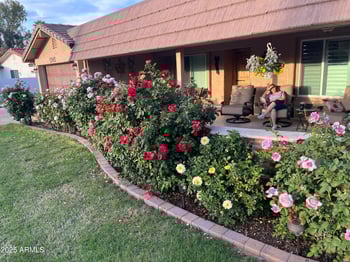 1345 Leisure World --, Mesa, AZ 85206