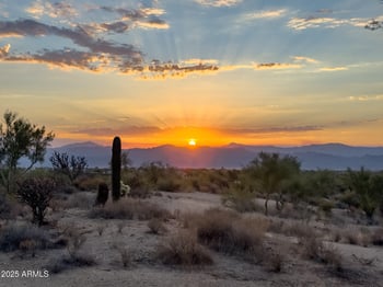 13502 Jomax Rd, Scottsdale, AZ 85262