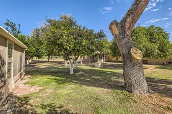 13605 Redwood Dr, Sun City, AZ 85351