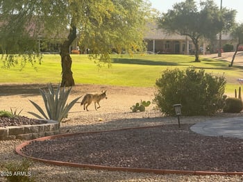 13612 Robertson Dr, Sun City West, AZ 85375