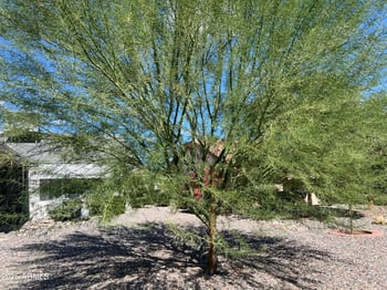 13619 Gardenview Dr, Sun City West, AZ 85375