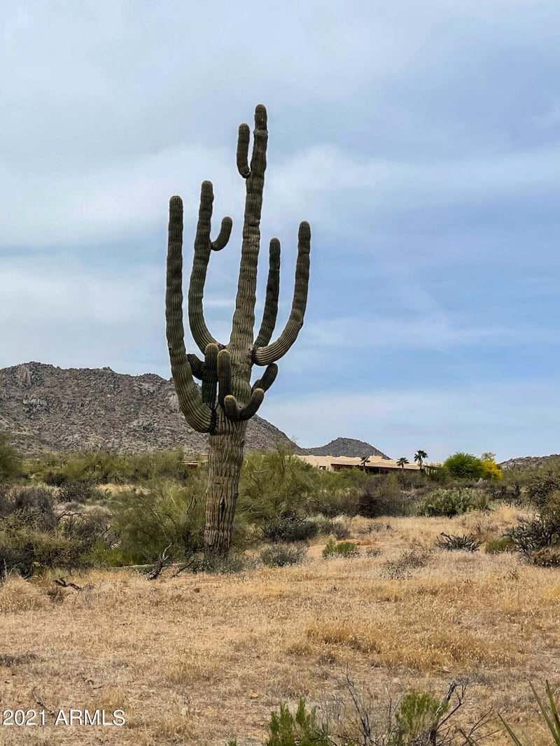 13750 aprx Westland Rd #-, Scottsdale, AZ 85262