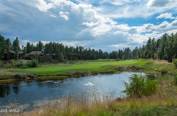 1380 Lakeside Trl, Show Low, AZ 85901