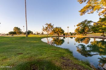 13822 Newcastle Dr, Sun, AZ 85351