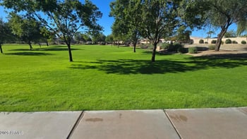 13829 Rovey Ave, Litchfield Park, AZ 85340