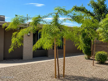 13832 111th Ave, Sun City, AZ 85351