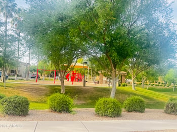 1384 Heron Ln, Gilbert, AZ 85296