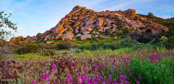 138XX Dove Valley Rd #-, Scottsdale, AZ 85266