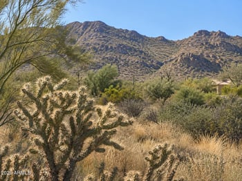 138XX E Dove Valley Rd #1, Scottsdale, AZ 85262