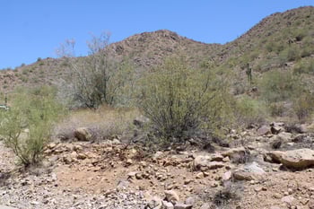 13990 Coyote Rd #11, Scottsdale, AZ 85259