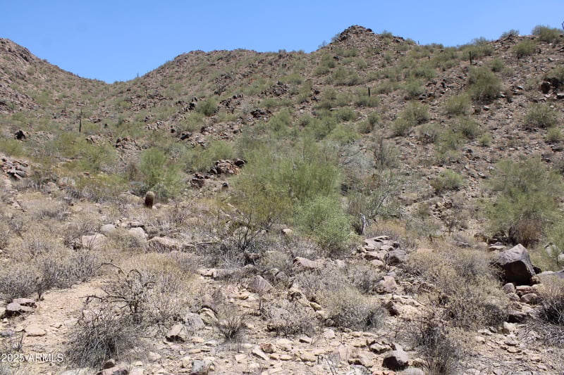 13990 Coyote Rd #11, Scottsdale, AZ 85259