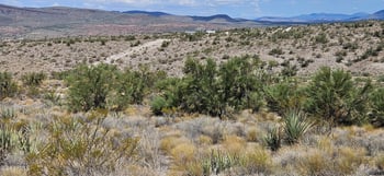 13995 Knight Creek Rd #-, Kingman, AZ 86401