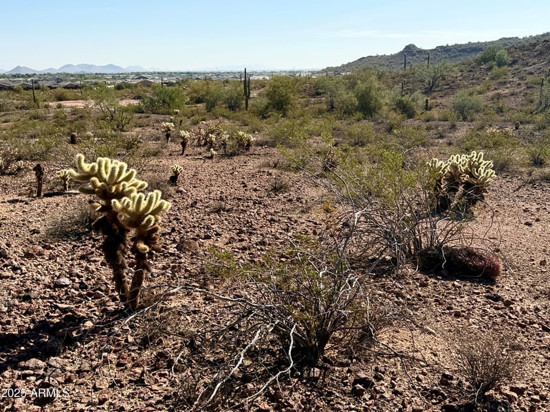 139XX Blackstone Ln #-, Peoria, AZ 85383