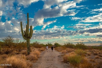 139XX Hawknest Rd #-, Scottsdale, AZ 85262