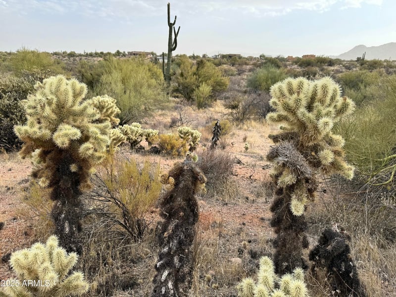 139xx Montello Rd #-, Scottsdale, AZ 85262