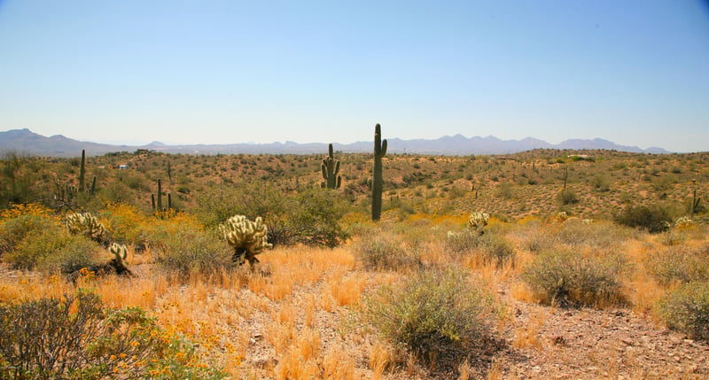 13xxx Ambush Ln #11, Fort Mcdowell, AZ 85264