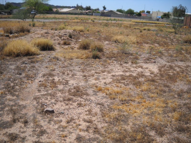14005 N 11th Pl #'_', Phoenix, AZ 85022