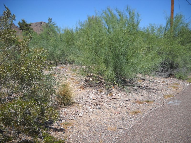 14005 N 11th Pl #'_', Phoenix, AZ 85022
