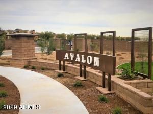 1401 E Kingbird Pl #14, Chandler, AZ 85286