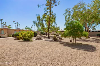 14020 Palm Ridge Dr, Sun City, AZ 85351
