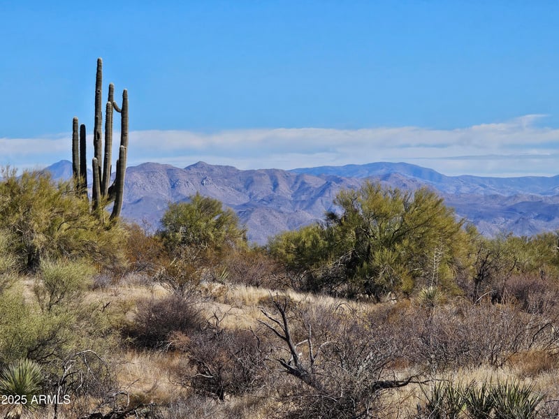 14027 Hawknest Rd #none, Scottsdale, AZ 85262
