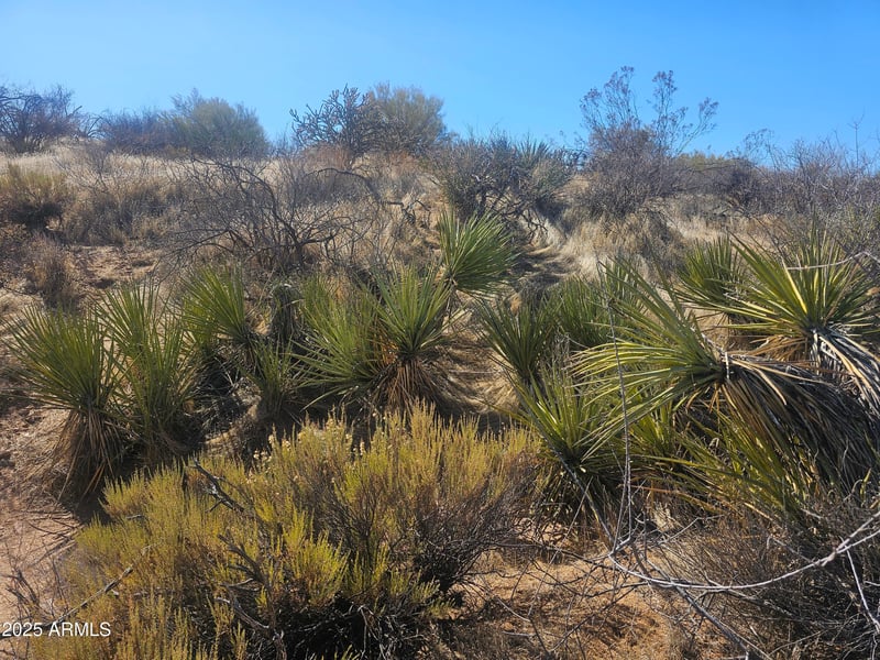 14027 Hawknest Rd #none, Scottsdale, AZ 85262