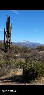 14027 Hawknest Rd #none, Scottsdale, AZ 85262