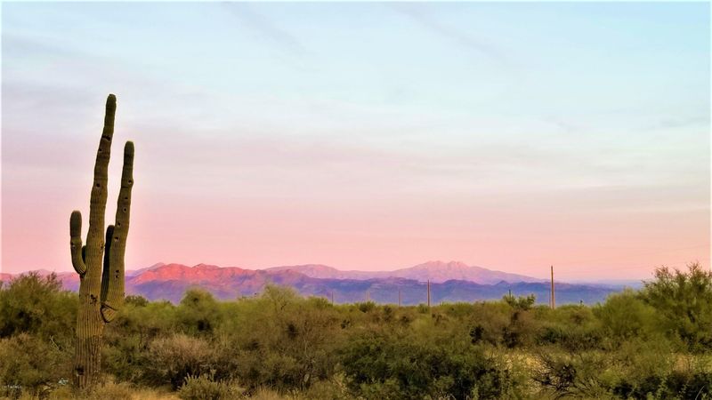 14144 E Westland Rd, Scottsdale, AZ 85262