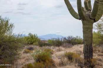 141XX Rancho Del Oro Ct #-, Scottsdale, AZ 85262