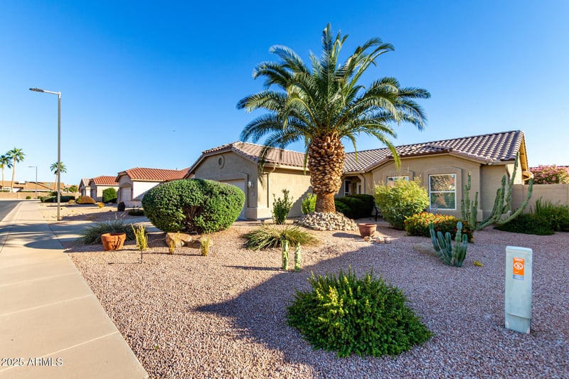 1423 Peach Tree Dr, Chandler, AZ 85249