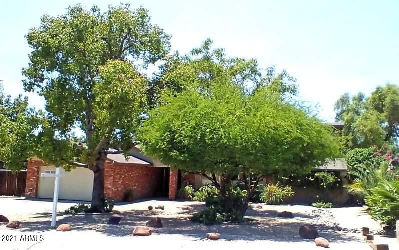 14232 N 10th St, Phoenix, AZ 85022