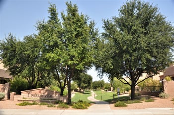 1424 W Marlin Dr, Chandler, AZ 85286