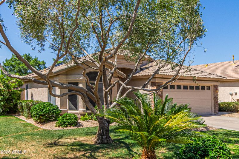 1424 W Mead Dr, Chandler, AZ 85248