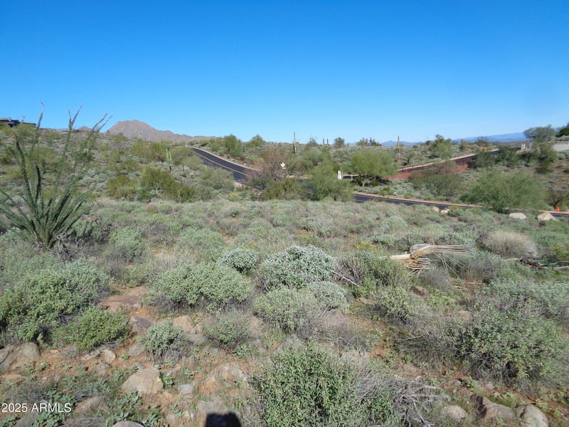 14248 Grey Owl Trl #166, Fountain Hills, AZ 85268