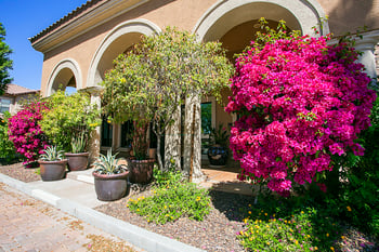 14250 W Wigwam Blvd #624, Litchfield Park, AZ 85340