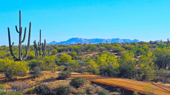 142X2 E Montello Rd #1, Scottsdale, AZ 85262