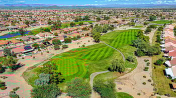 14307 Whitewood Dr, Sun City West, AZ 85375